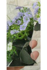 6x Adet Dekoratif Gümüş Dalga Süs Ayna 22x20cm Antre Mobilya Duvar Arkası Yapışkan Bantlı Akrilik